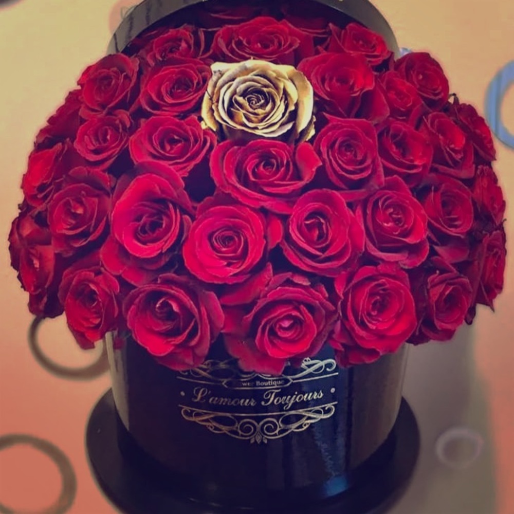 🦋Free Shipping on any bundle!🦋